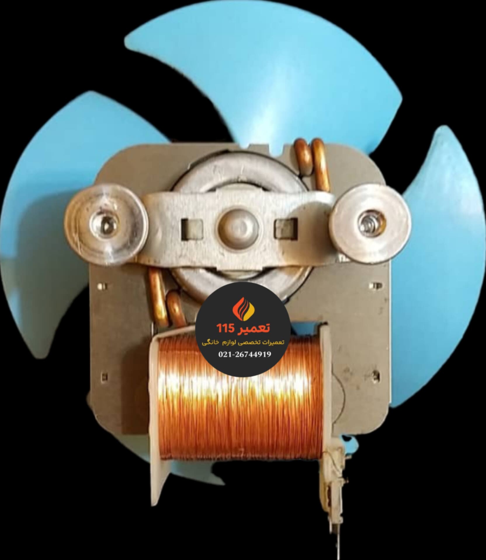 فن مایکروویو